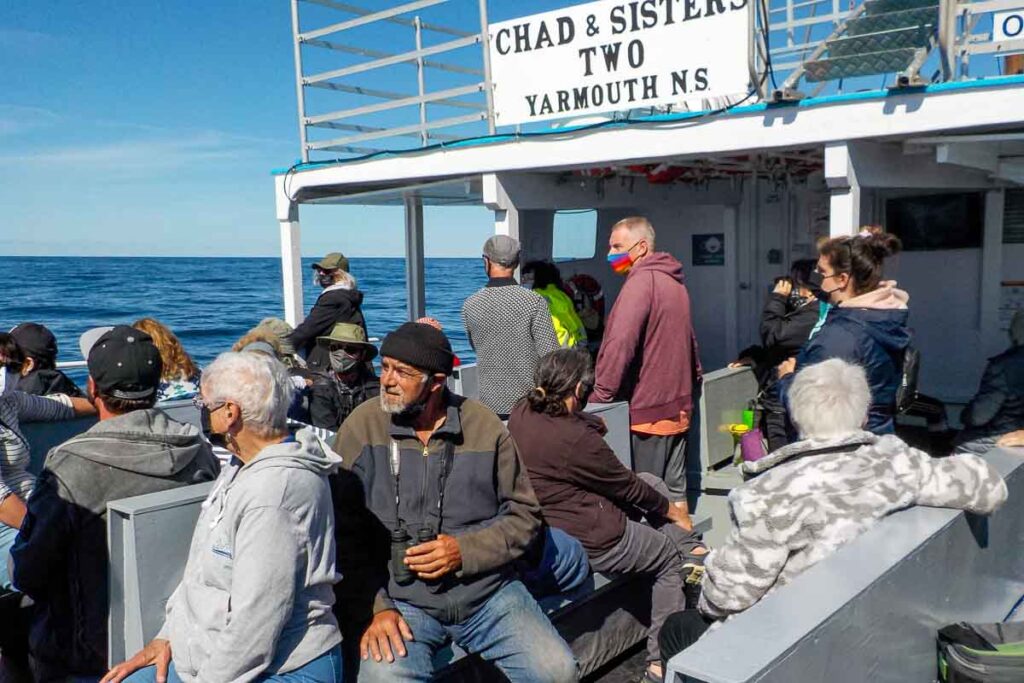 A crowd of people whale watching on the Chad & Sisters Two boat, out in the Bay of Fundy from on Brier Island. 