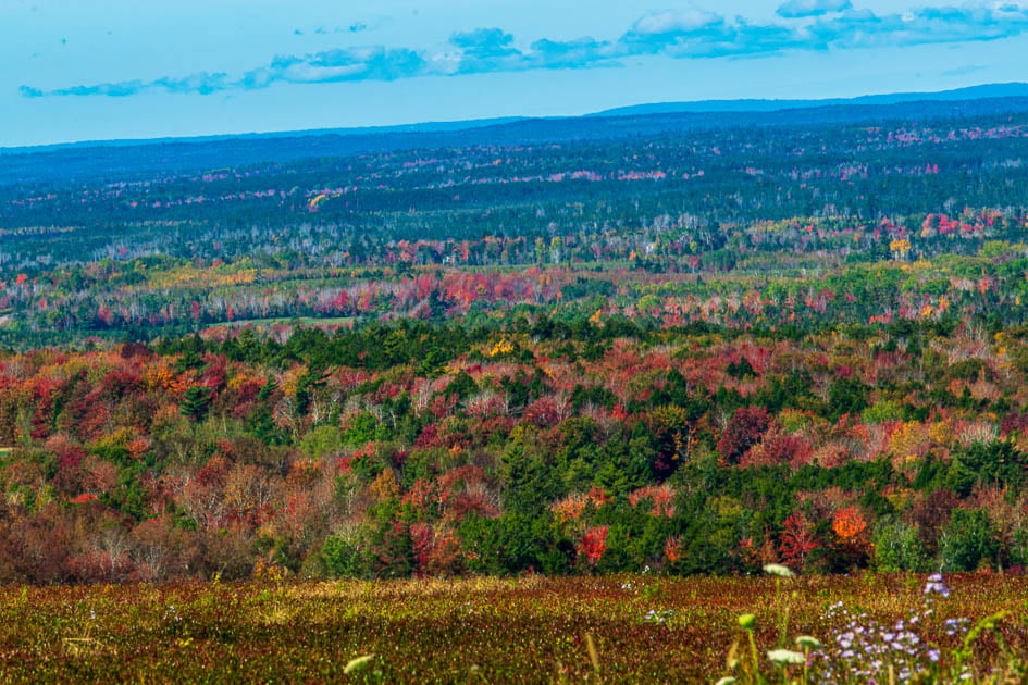 Courthouse hill with autumn colored leaves in October. Best Time to visit Nova Scotia