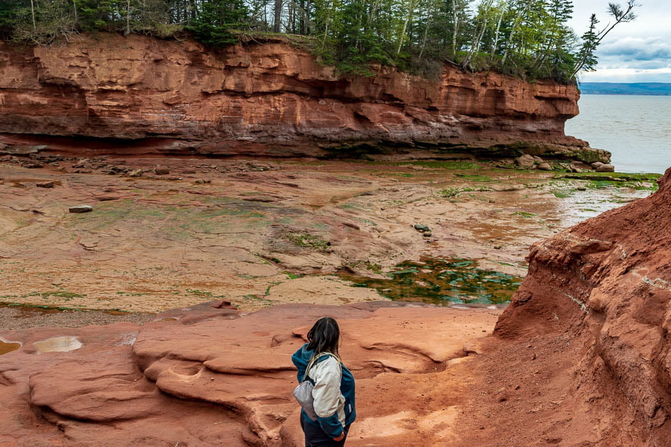 Burntcoat Head at low tide in May