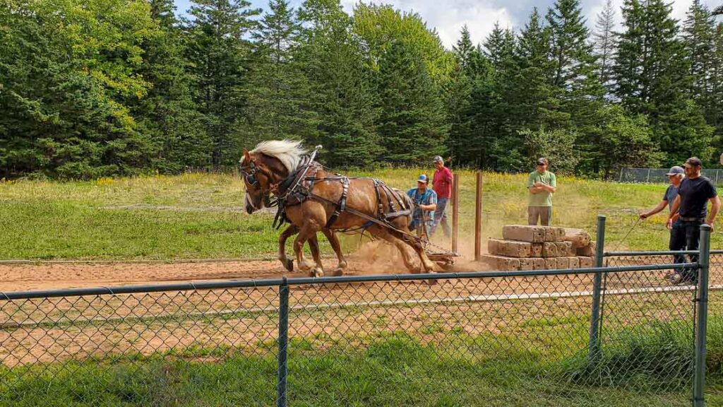 Horsepull at the Burlington Community Hall