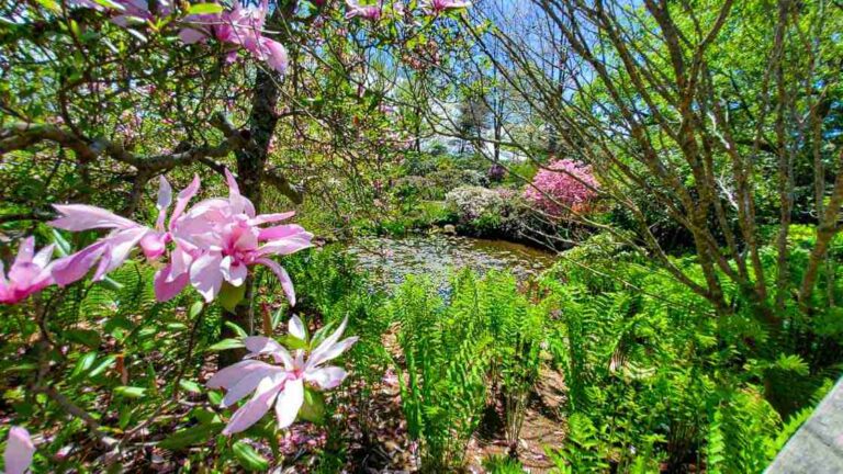 Annapolis Royal Historic Gardens