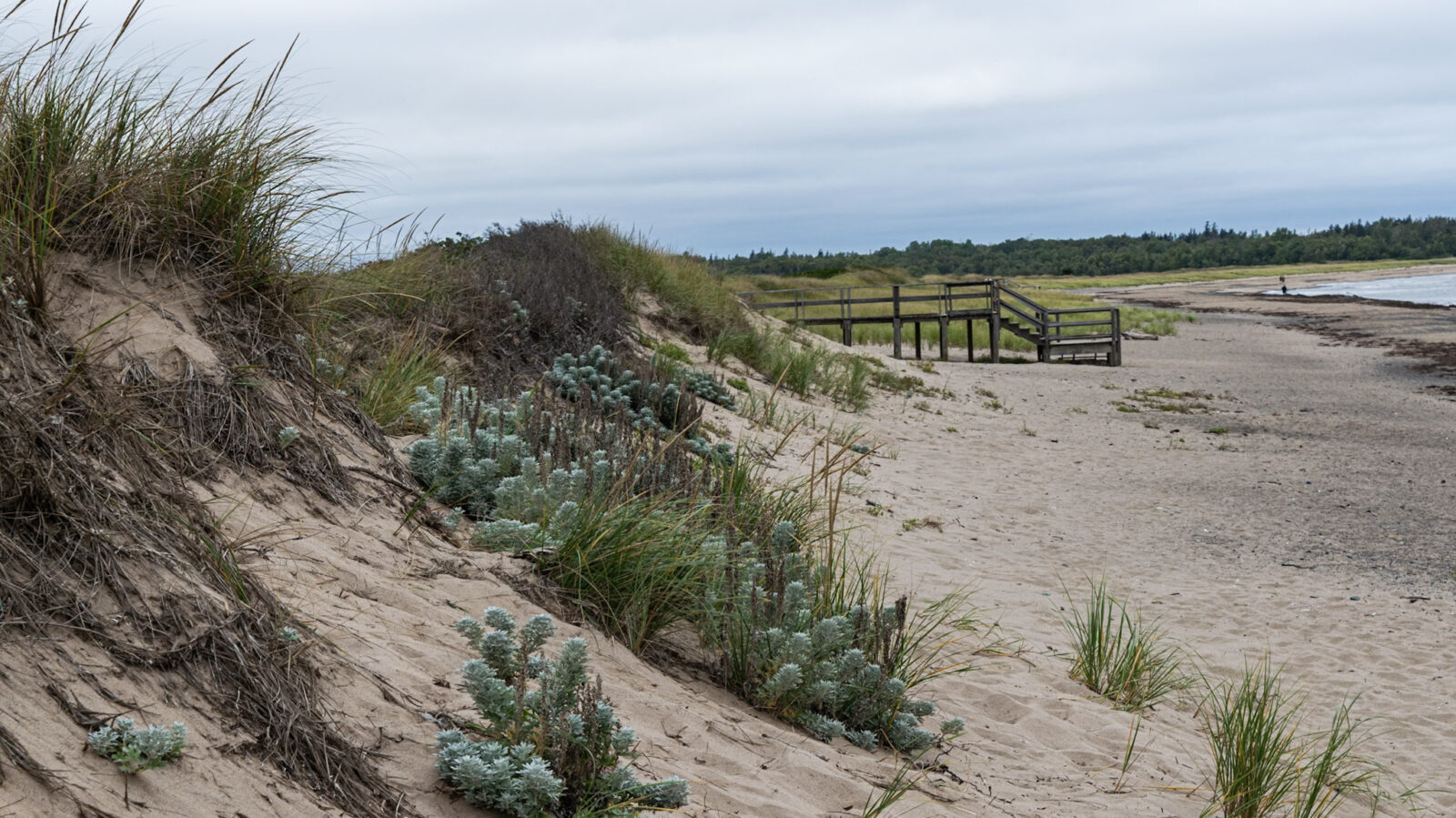Sand dunes and a quiet beach with a wooden boardwalk leading toward the shoreline, showing how adventure can be found in everyday places.