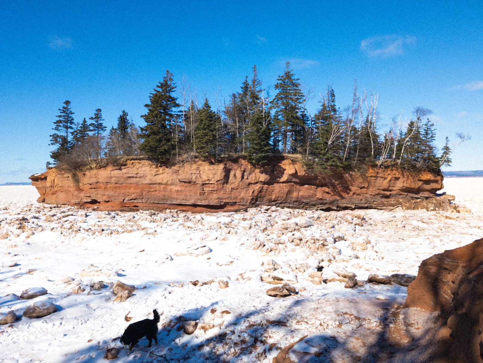 Burntcoat Head in winter with towering red cliffs surrounded by frozen sea ice and snow under a bright blue sky.