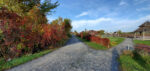 Autumn walking trail lined with colourful fall foliage in Nova Scotia.