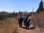 Three hikers walking along a forest trail in Nova Scotia, creating memories together during an outdoor adventure.