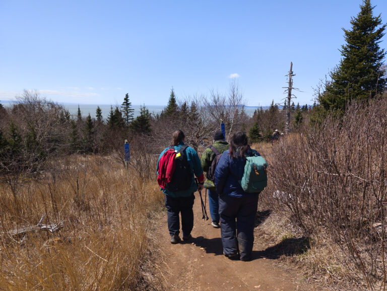 Three hikers walking along a forest trail in Nova Scotia, creating memories together during an outdoor adventure.