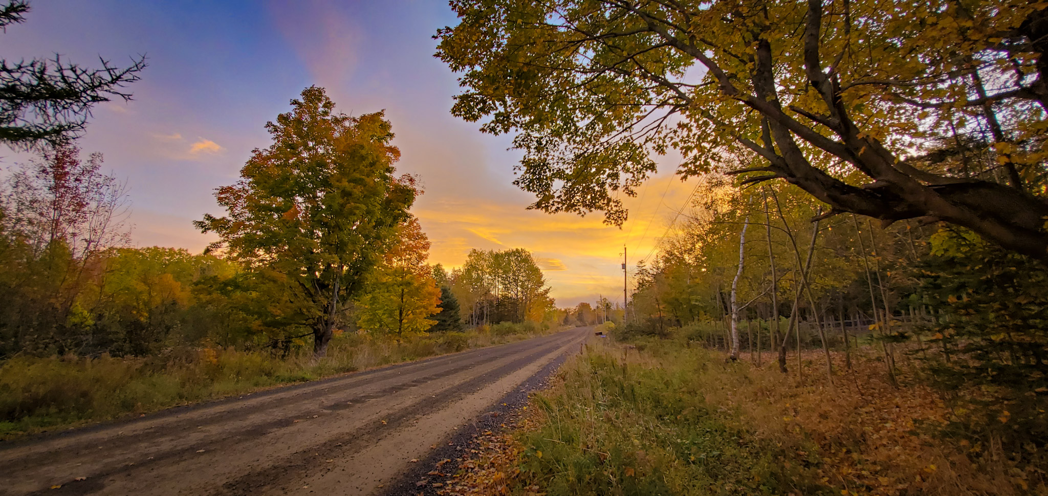 Country road surrounded by colourful autumn trees at sunset